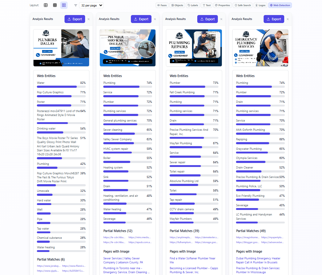 Web Detection